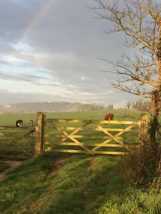 Frog Firle View Villa Alfriston Dış mekan fotoğraf